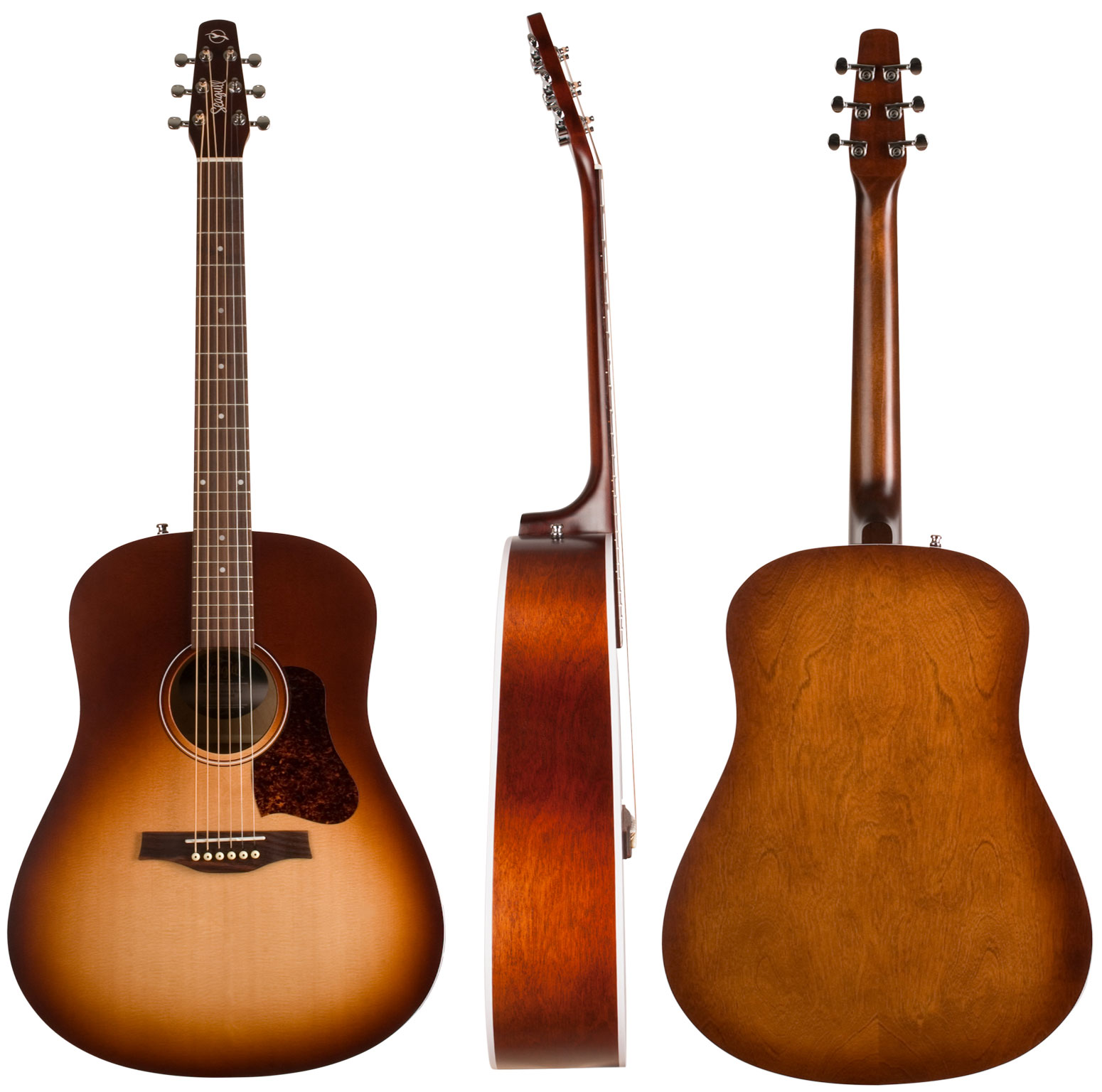 Seagull Entourage Dreadnought Epicea Merisier - Autumn Burst - Westerngitaar & electro - Variation 1