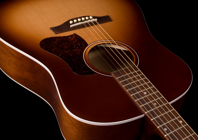 Seagull Entourage Dreadnought Epicea Merisier +housse - Autumn Burst - Volksgitaar - Variation 3