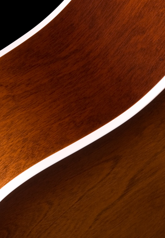 Seagull Entourage Dreadnought Epicea Merisier +housse - Autumn Burst - Volksgitaar - Variation 5
