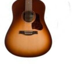 Folk gitaar Seagull Entourage +Bag - Autumn burst