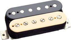 APH-2B Slash - bridge - zebra