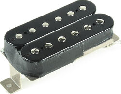 Elektrische gitaar pickup Seymour duncan APH-2N Slash - nickel - black