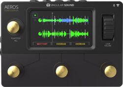 Looper effect pedaal Singular sound Aeros Looper Gold