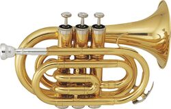 Studie trompet Sml TP50 - Laiton verni