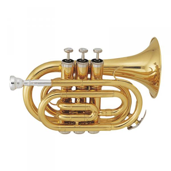Studie trompet Sml TP50 - Laiton verni