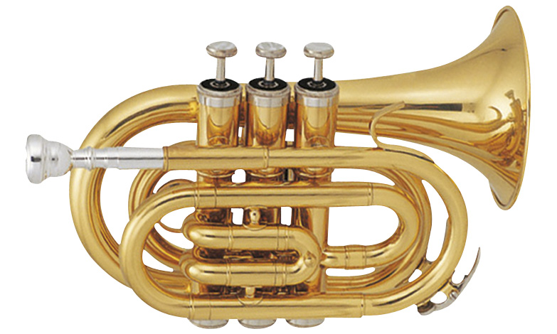 Sml Tp50 De Poche Sib Vernie - Studie trompet - Variation 1