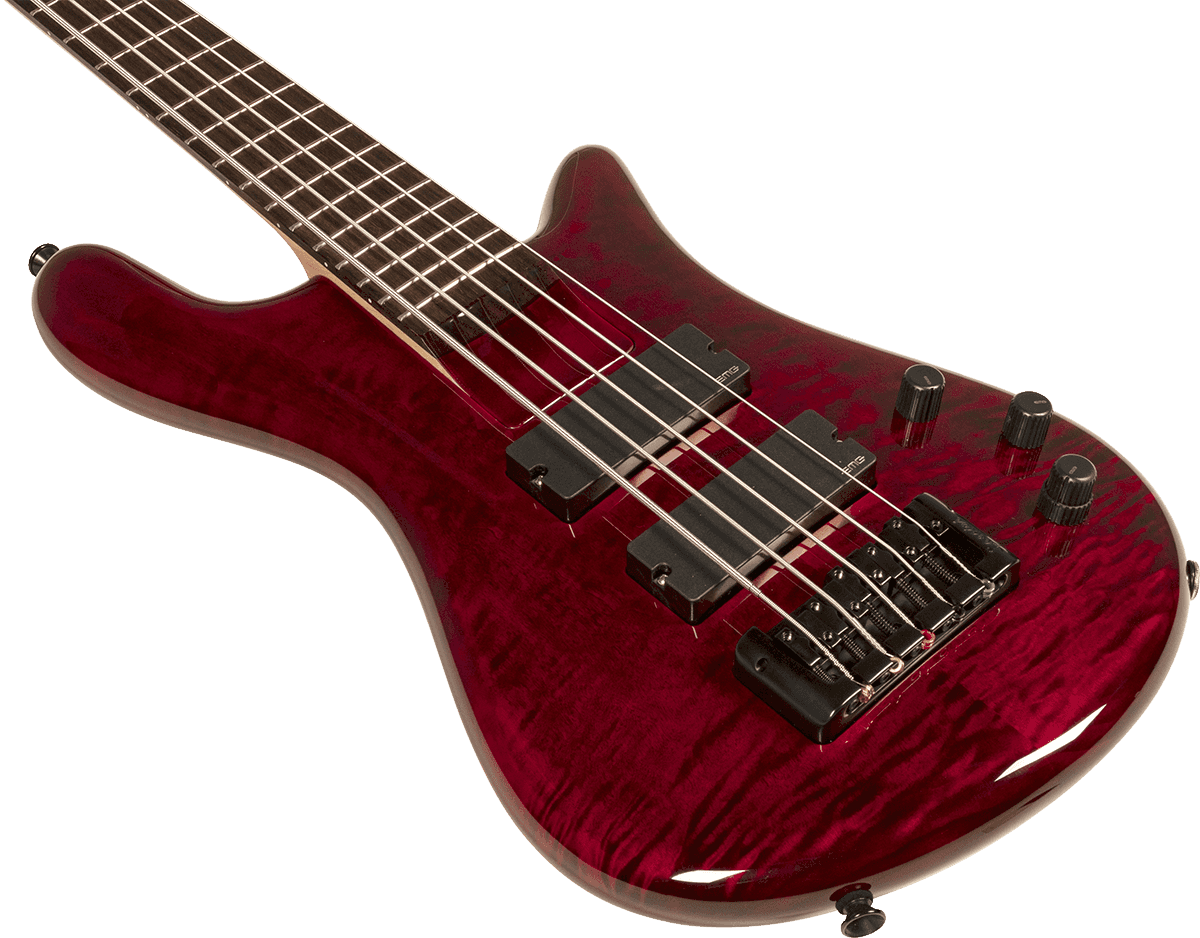 Spector Bantam 5c Diapason Court Active Emg Rw - Black Cherry - Solid body elektrische bas - Variation 1