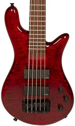 Solid body elektrische bas Spector                        Bantam 5 - Black cherry