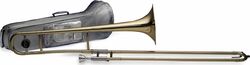 Studie trombone Stagg 77TASC