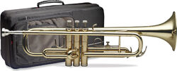 Professionele trompet Stagg 77TSC