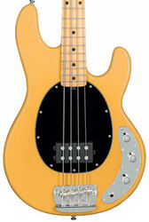 Solid body elektrische bas Sterling by musicman Stingray Classic RAY24CA (MN) - Butterscotch