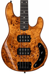 Stingray Ray34HHPB (RW) - amber