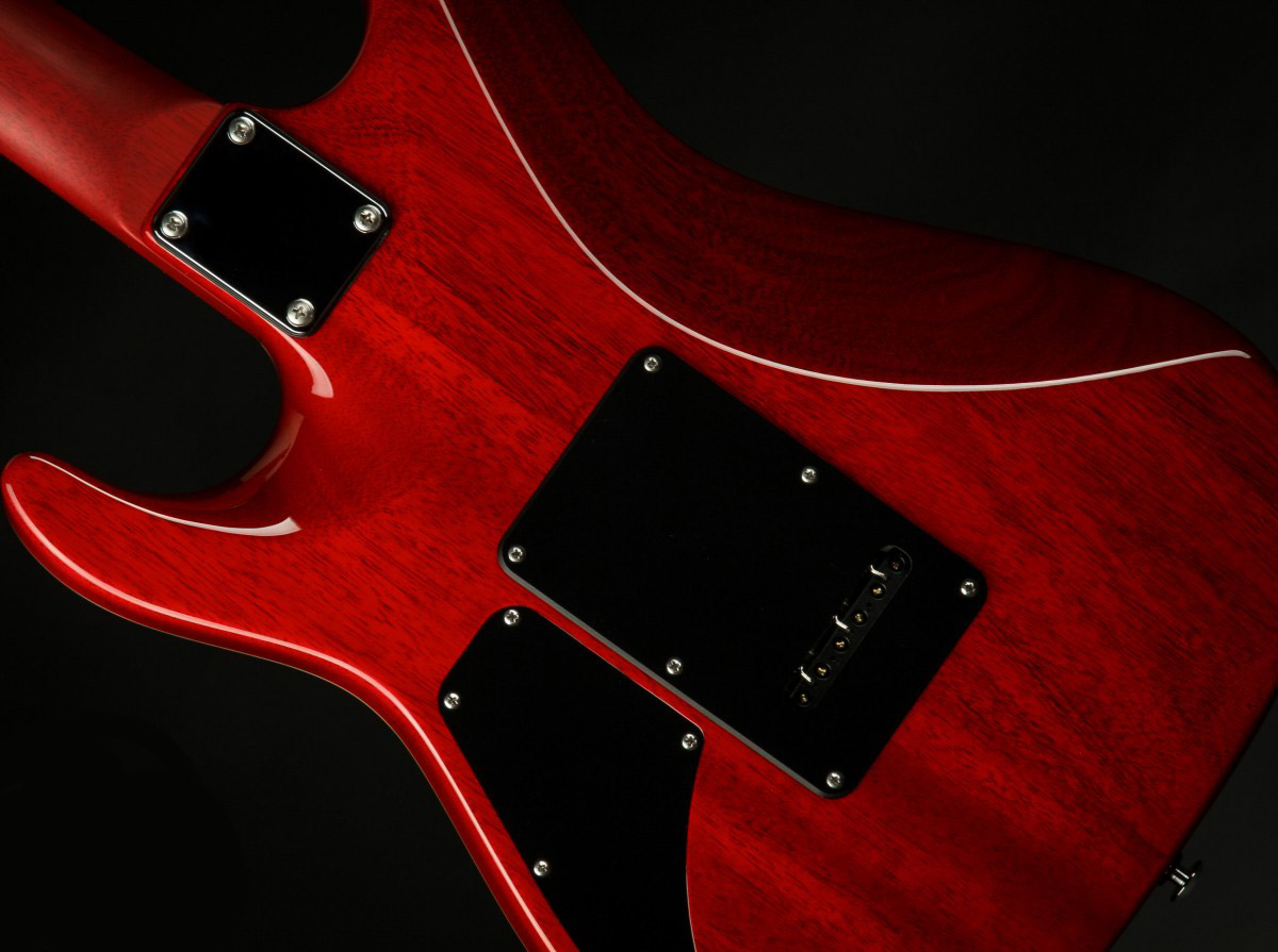 Suhr Pete Thorn Standard 01-sig-0007 Signature 2h Trem Rw - Black - Elektrische gitaar in Str-vorm - Variation 7