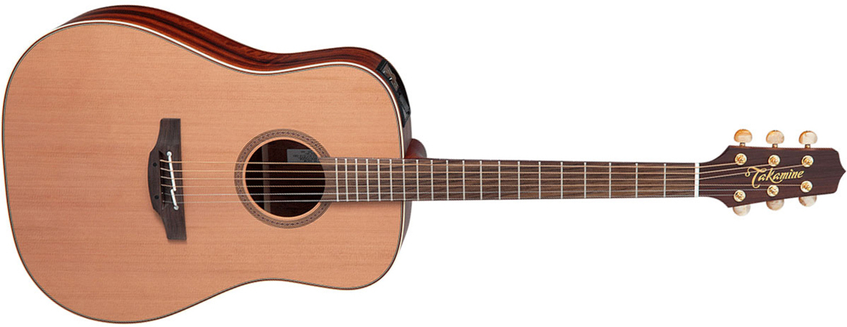 Takamine Fn15 Ar Ltd Dreadnought Cedre Palissandre Rw - Natural Satin - Elektro-akoestische gitaar - Main picture