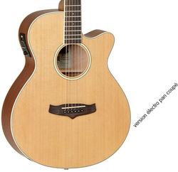 Folk gitaar Tanglewood TW9 Winterleaf - Natural satin