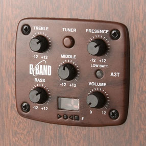 Tanglewood Tw155a Bass Premier Super Jumbo Cw - Natural Satin - Akoestische bas - Variation 3
