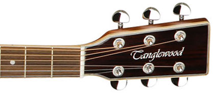 Tanglewood Tw28 Csn Evolution Dreadnought Cedre Acajou - Natural - Westerngitaar & electro - Variation 3