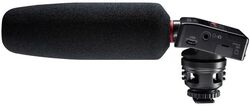 Mobiele opnemer Tascam DR-10SG