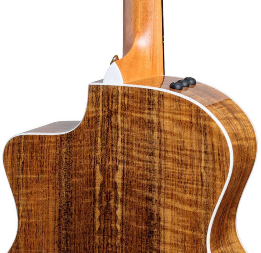 Taylor 214ce-fo Dlx Grand Auditorium Cw Epicea Ovangkol Es2 - Natural - Elektro-akoestische gitaar - Variation 3