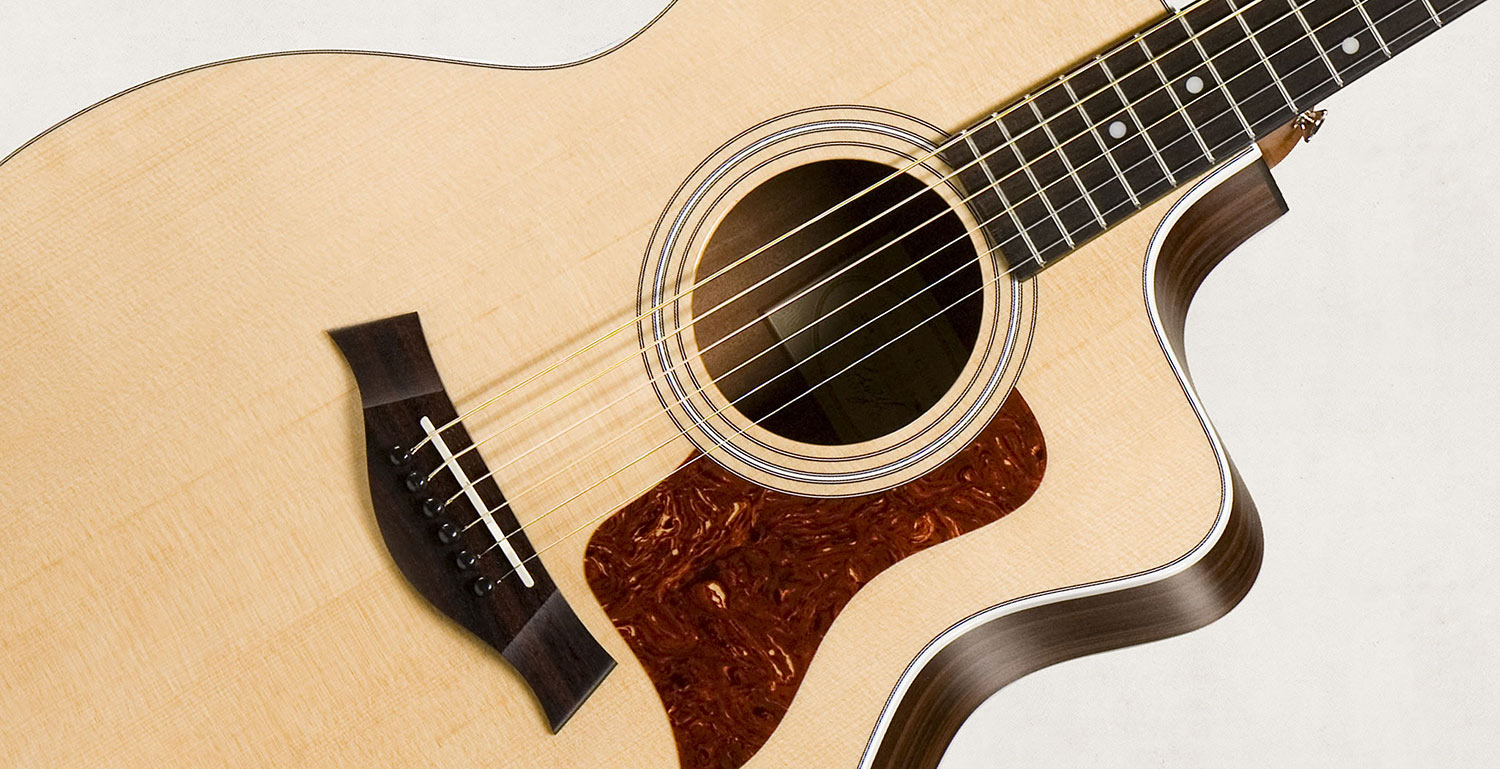 Taylor 214ce Grand Auditorium Natural Gloss Top - Westerngitaar & electro - Variation 2