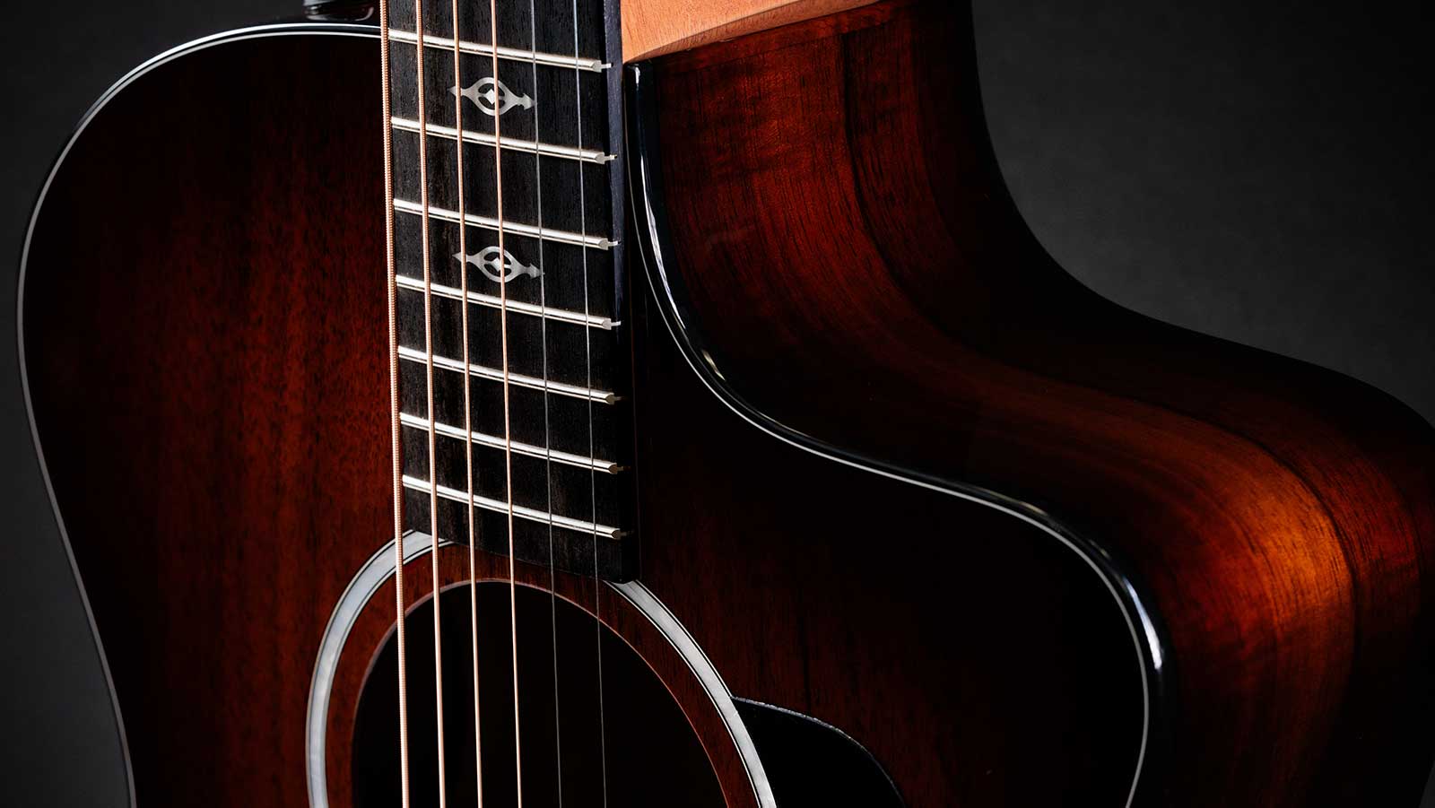 Taylor 224ce-k Dlx Grand Auditorium Cw Tout Koa Es2 - Shaded Edgeburst - Volksgitaar - Variation 2