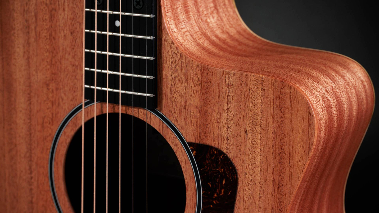 Taylor 24ce Grand Auditorium Cw Tout Sapele Eb - Natural Matte - Folk gitaar - Variation 3