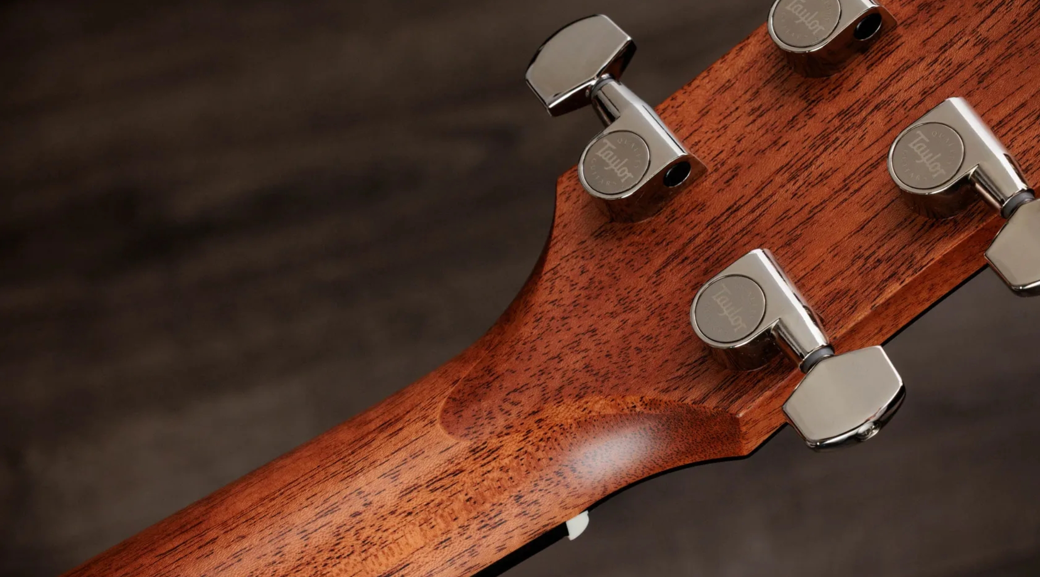 Taylor 510e Gold Label Dreadnought Epicea Acajou Eb - Natural - Folk gitaar - Variation 9