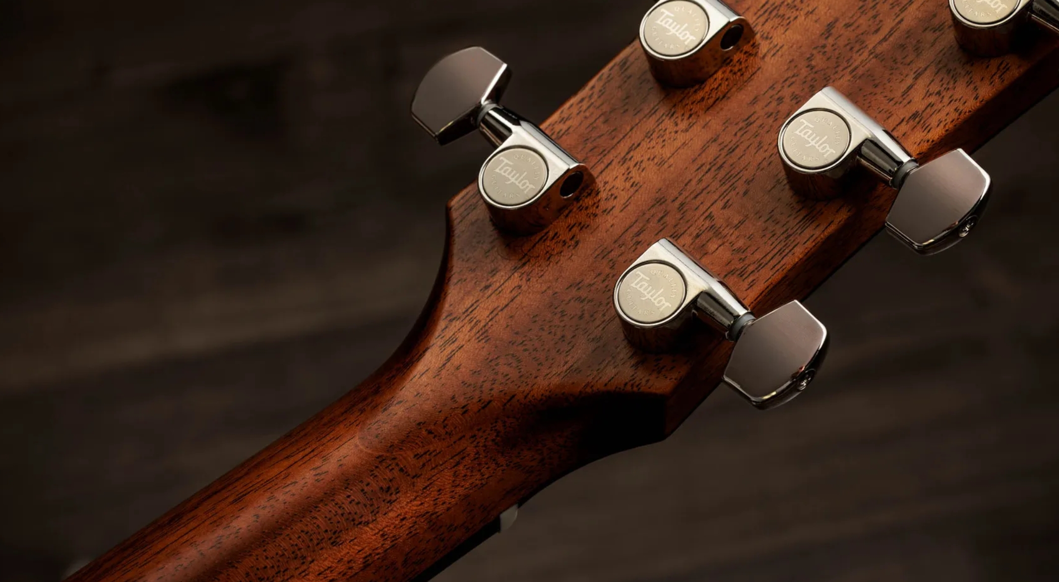 Taylor 517e Gold Label Grand Pacific Epicea Acajou Eb - Natural - Folk gitaar - Variation 9