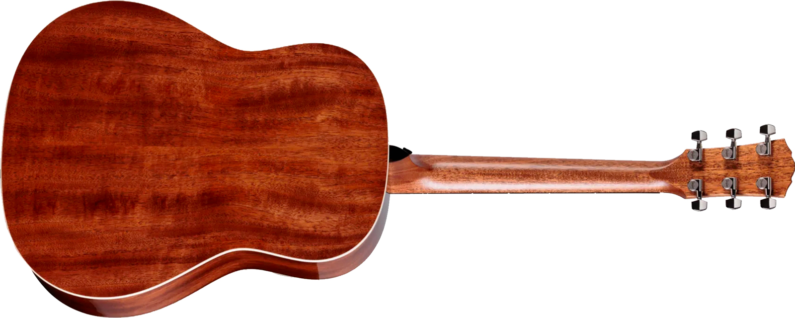 Taylor 517e Gold Label Grand Pacific Epicea Acajou Eb - Natural - Folk gitaar - Variation 1