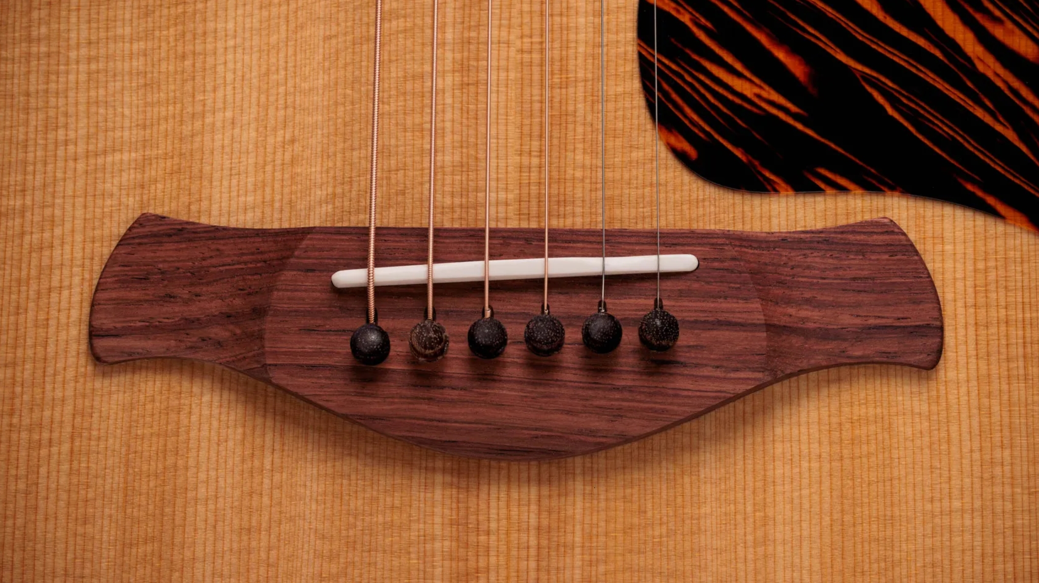 Taylor 517e Gold Label Grand Pacific Epicea Acajou Eb - Natural - Folk gitaar - Variation 4