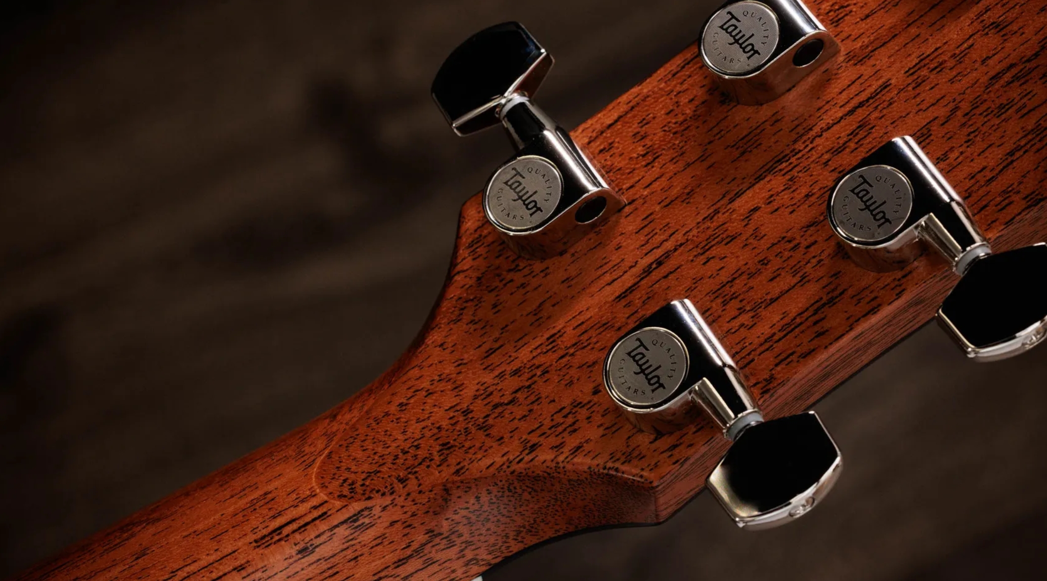 Taylor 517e Gold Label Grand Pacific Epicea Acajou Eb - Blacktop - Folk gitaar - Variation 7