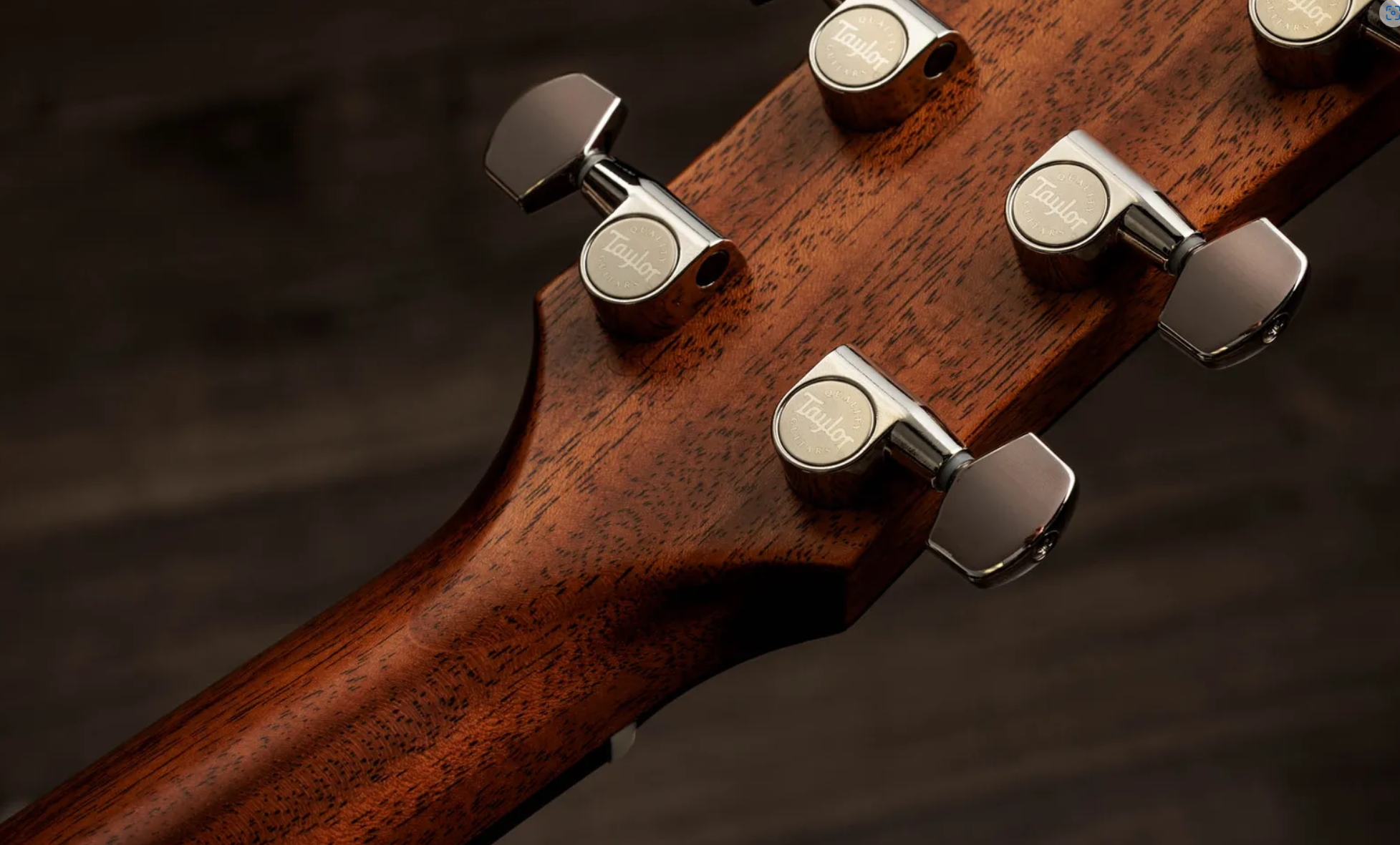 Taylor 517e Sb Gold Label Grand Pacific Epicea Acajou Eb - Sunburst W/ Cream Pickguard - Folk gitaar - Variation 9