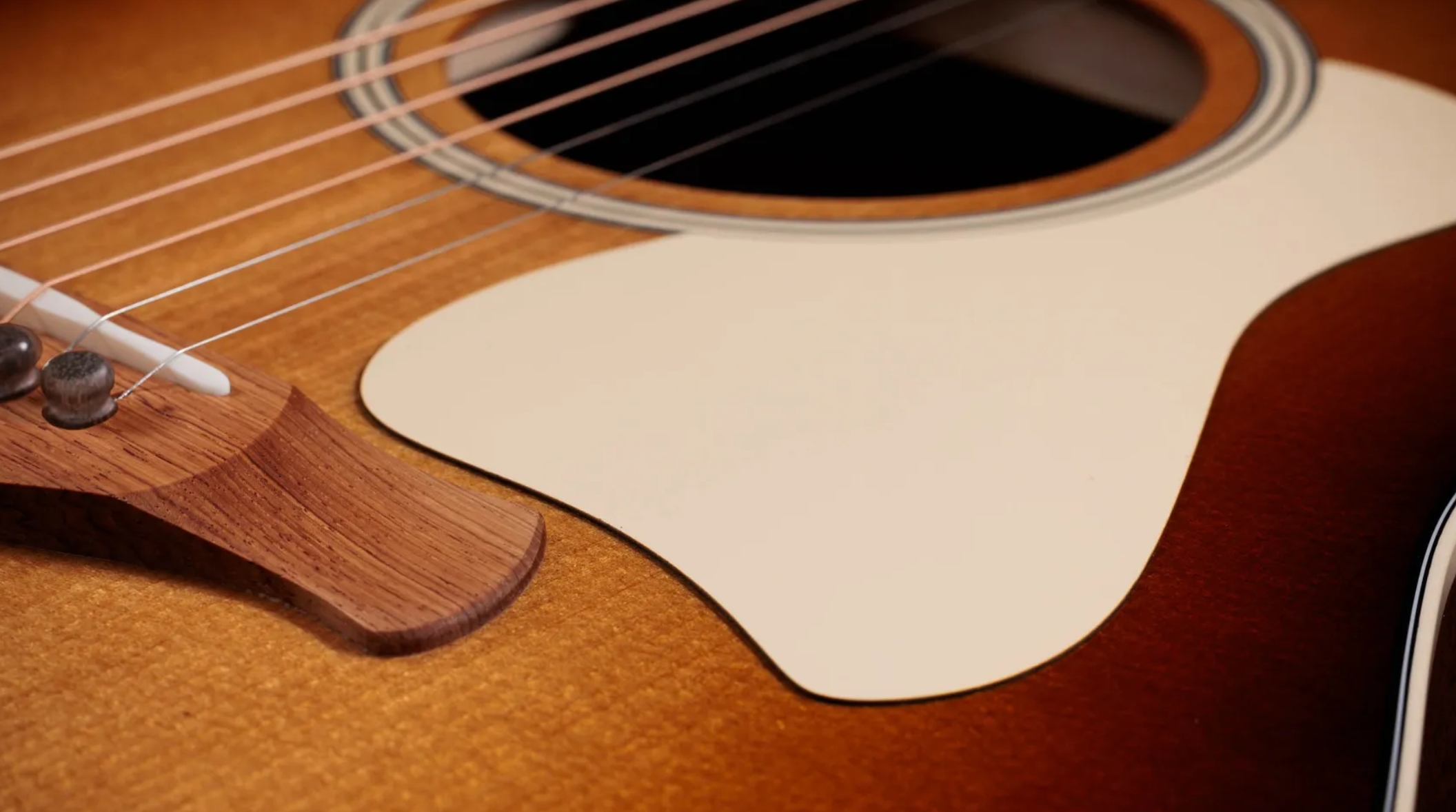 Taylor 517e Sb Gold Label Grand Pacific Epicea Acajou Eb - Sunburst W/ Cream Pickguard - Folk gitaar - Variation 3