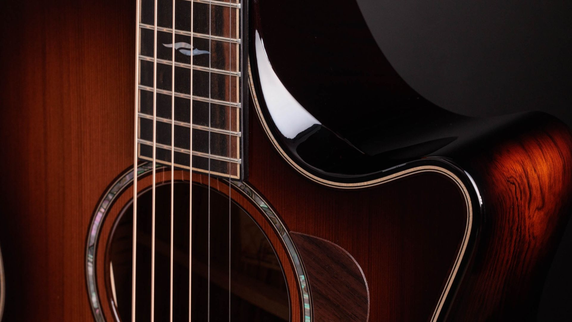 Taylor 814ce Redwood Builder's Edition Grand Auditorium Cw Cedre Palissandre Eb Es2 - Edgeburst - Volksgitaar - Variation 3