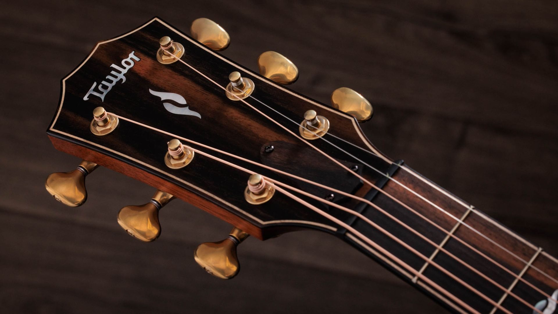 Taylor 814ce Redwood Builder's Edition Grand Auditorium Cw Cedre Palissandre Eb Es2 - Edgeburst - Volksgitaar - Variation 7