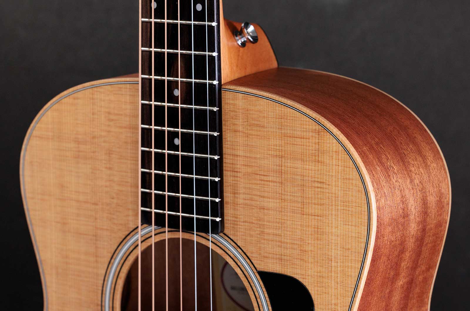 Taylor Gs Mini Sapele 2024 Epicea Sapele Eb - Natural Matte - Reis folk gitaar - Variation 2