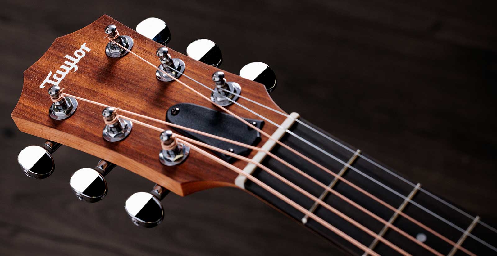 Taylor Gs Mini Sapele 2024 Epicea Sapele Eb - Natural Matte - Reis folk gitaar - Variation 4