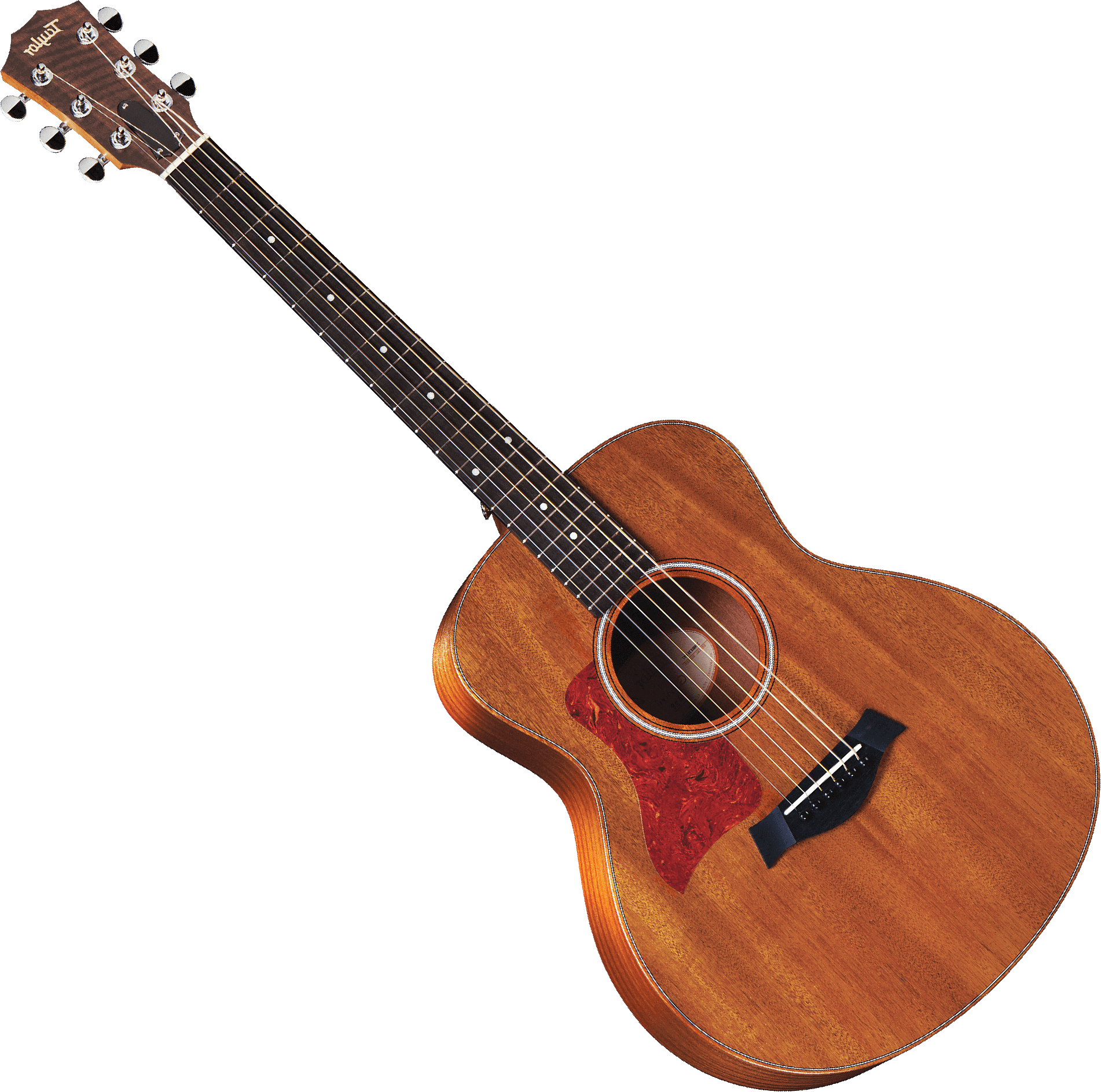 taylor mahogany