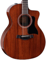 Folk gitaar Taylor 224ce Plus Special Edition - Natural gloss top