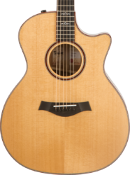 Custom GA-ce Koa V-Class - natural