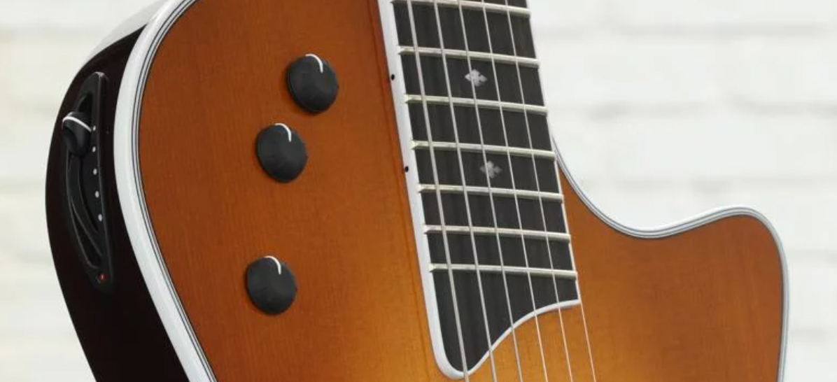 Taylor T5z Standard Epicea Sapele Eb - Honey Sunburst - Semi hollow elektriche gitaar - Variation 2