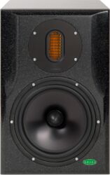 THE SUPER ROCK ACTIVE 2 WAY MONITOR