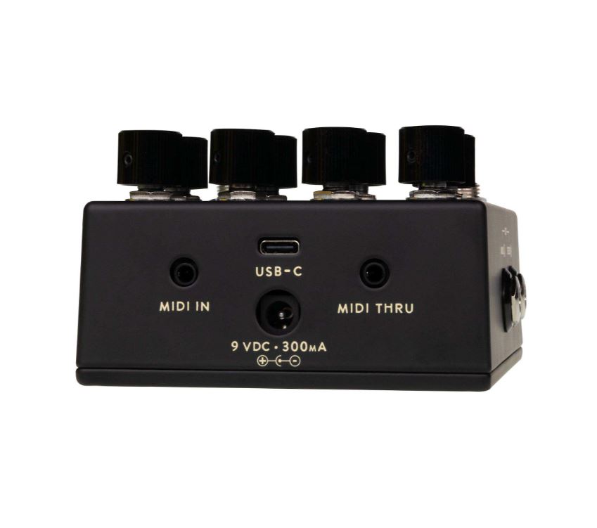 Walrus Audio Fable Mkii Black - Reverb/delay/echo effect pedaal - Variation 1
