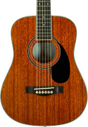 Folk gitaar Wesland BG350-NAT - Natural