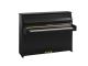 B10 PE