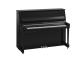 B20 PEC TransAcoustic - chrome