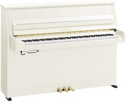 B10 PWH TransAcoustic