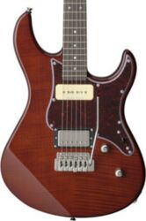 Pacifica 611 VFM - root beer
