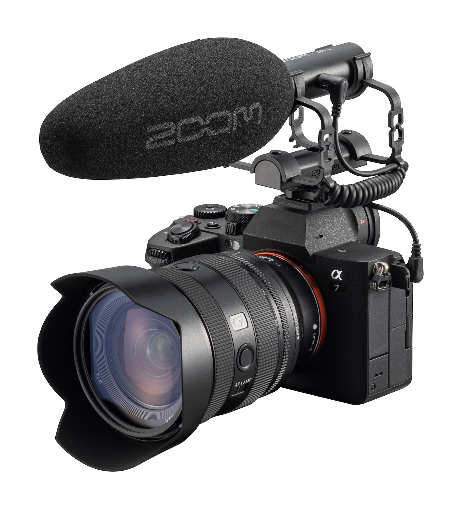 zoom microphone and camera